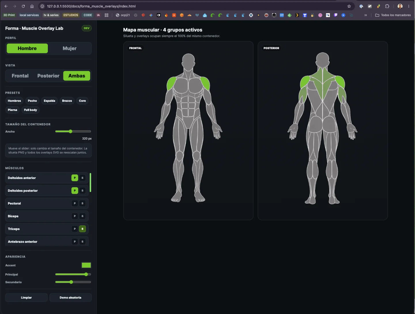 Forma · Muscle Overlay Lab abierto en el navegador: panel lateral izquierdo con el perfil Hombre seleccionado, la vista "Ambas", presets de grupo muscular (Hombros, Pecho, Espalda, Brazos, Core, Pierna, Full body), un slider de ancho del contenedor a 320 px, la lista de músculos con botones P y S para marcar primario o secundario, y controles de color de acento y de opacidad; a la derecha, "Mapa muscular · 4 grupos activos" con las siluetas masculinas frontal y posterior y los deltoides iluminados en verde